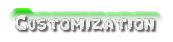 Software Customization